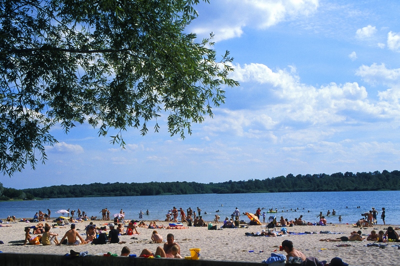 Lac du Der